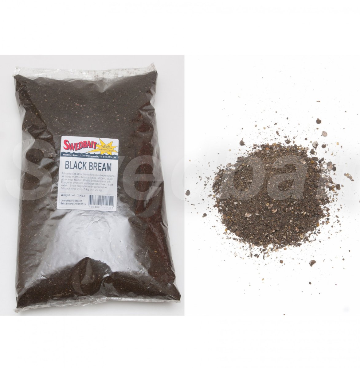 Black Bream - Bild 2